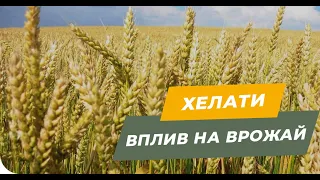 Вся правда хелатні добрива! Чи збільшують хелати урожайність?