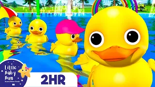 Five Little Duckies! | Baby Song Mix - Little Baby Bum Nursery Rhymes