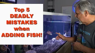 Prevent NEW FISH DIE OFF [Watch this Before Adding Fish] My Top 5 Deadly Mistakes when Adding Fish!