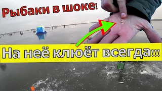 НА НЕЁ КЛЮЁТ ВСЕГДА! Золотая мормышка для рыбалки. Мормышка на окуня.