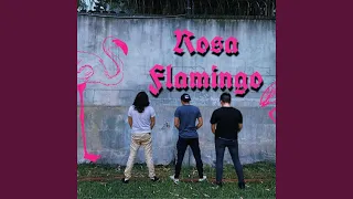 Rosa Flamingo