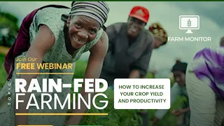Rain-fed Farming: How To Increase Your Crop Yield & Productivity
