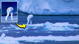 What Scientists Discovered in Antarctica Left People Speechless