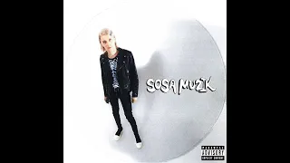 Платина - «Ｓｏｓａ Ｍｕｚｉｋ» (２０２１) Ｆｕｌｌ  Ａｌｂｕｍ  +         (ｓｌｏｗｅｄ  + ｒｅｖｅｒｂ)