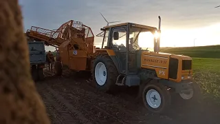 Test nowego nabytku akcja Łubcze 2023 😀opór🚜renault 70-32 PX ,Case IH 4230 XL,Zetor 7045 kleine 5002