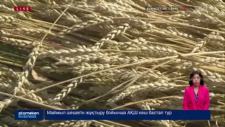 Урожай Казахстана под угрозой срыва?