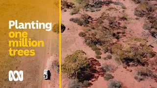 Planting one million trees to transform outback station into wildlife haven | ABC Australia