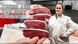 How to Butcher a Cow: Where Do the BEST Steaks Come From? | Part 2