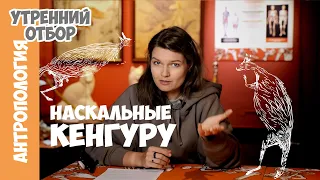 Как осы датировали кенгуру? Елена Сударикова