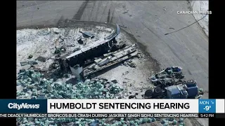 Humboldt victim statements begin at truck driver's sentencing
