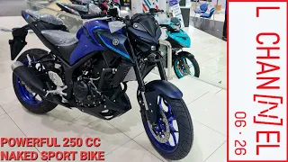 Walkaround Yamaha MT-25 - Indonesia