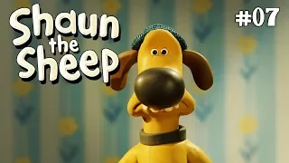 DIY | Shaun the Sheep Season 4 | Full Episode