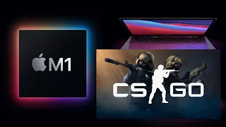 CS:GO running on M1 Macbook Pro and how to fix not starting problem!