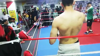 MMA Best Fight