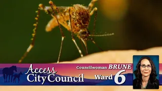 Access City Council: Ward 6 Councilwoman Nancy Brune
