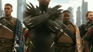 Iron Fist vs Black Panther! Who wins? Enjoy!