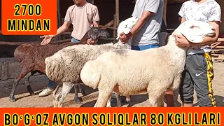 BOʻGʻOZ AVGʻON SOGʻLIQ VA XISOR BOʻGʻOZLARDAN