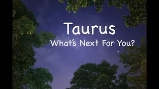 Taurus August 2022 Tarot Reading - Friends can help you get ahead!