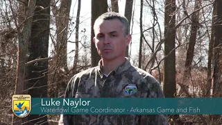 Meet the Partners of Cache River National Wildlife Refuge