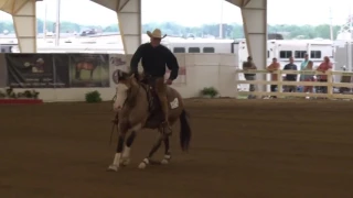 170527 BRS Open Derby Rick Weaver on Spooks Gotta Spark