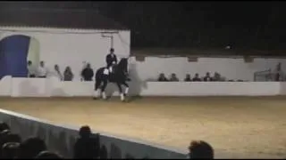 DOMA CLASICA CABALLO MENORQUIN