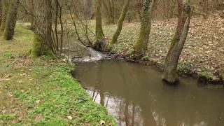 Rzeka Sanka w Dolinie Mnikowskiej /małopolska/ cz.2 - Marzec 2024