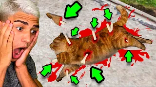 CONSIGO QUEBRAR TODOS OS OSSOS DO GATO no GTA 5?!