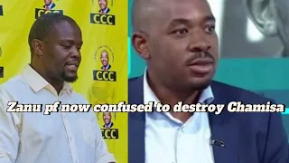 Chamisa confused Zanu pf CCC destroyers Chamisa has taken Politics to higher level blinding ZANU PF