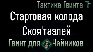 Новичкам-08/Скоя'таэли/Стартовая колода Скоя'таэлей. Смотрим механику вживую [Гвинт Карточная Игра]