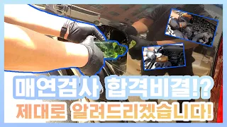 매연검사 합격 비결!? 제대로 알려드리겠습니다!