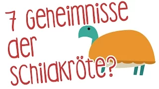 7 Geheimnisse der Schildkröte? - 5 IDEEN aus dem Buch von Aljoscha Long Ronald Schweppe