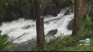 'I was so scared.' Some lose everything as Lane floods part of Hawaii island