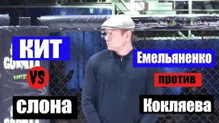 РАЗБОР боя КОКЛЯЕВ Емельяненко | Емельяненко (Кит) VS Кокляев (Слон) | Кит VS слон: кто сильнее