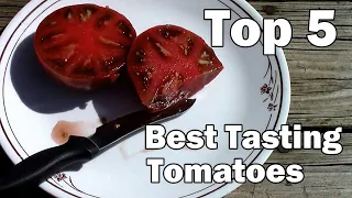 My Top 5 Best Tasting Tomatoes.