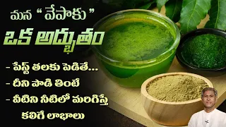 Medicinal Miracles of Neem Leaf | Health and Beauty benefits of Neem | Dr. Manthena's Health Tips