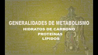 Introducción al Metabolismo (Clase de Google Meet)