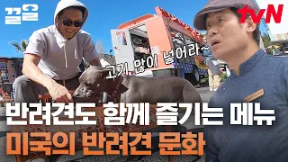 오늘도 복스푸드를 찾아온 강아지 손님🙌 애절한 눈빛으로 삼겹살 쳐다보는 반려견ㅋㅋㅋ | 현지에서먹힐까미국편