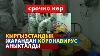 КЫРГЫЗСТАНДЫК ЖАРАНДАН КОРОНАВИРУС АНЫКТАЛДЫ