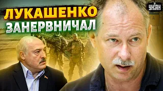 Лукашенко пудрит нам мозги. В Беларуси сказали, что думают о схватке с ВСУ – Жданов