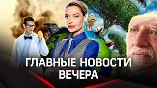 В ЕС хотят избавляться от стариков ради экологии и помогать людям-кошкам. Стрим | Гурьянова.Гулимова