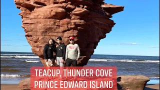 TEACUP, THUNDER COVE // PRINCE EDWARD ISLAND (PEI) CANADA 🇨🇦