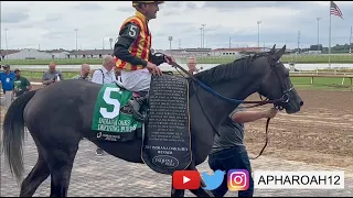 G1 Winner, Defining Purpose, and Black-Eyed Susan Winner, Taxed, compete in the 2023 Indiana Oaks