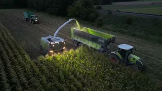 Maishäckseln Mieterkingen Biogas Reiner 2023 | CLAAS Jaguar 980 & Torion 1812 2x Deutz-Fahr Warrior