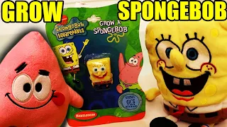 GROW IT SPONGEBOB - PATRICK'S NEW BRAIN