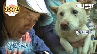 Man Who Found His Missing Dog Learns About A Shocking Truth