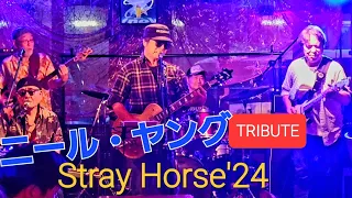 Stray Horse'24　2024/5/25　藤沢市　Beat BAR BECK　ベックROCKナイト