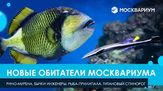 Новые обитатели Москвариума