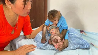 Taka thoughtfully helps mom take care of the little monkey