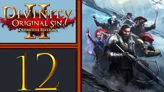 Divinity: Original Sin II playthrough pt12 - A Cave of Frogs and a Paralyzed Lord