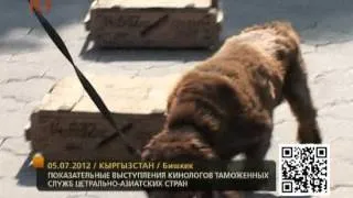 Показательные выступления кинологов 05.07.2012 / кплюс